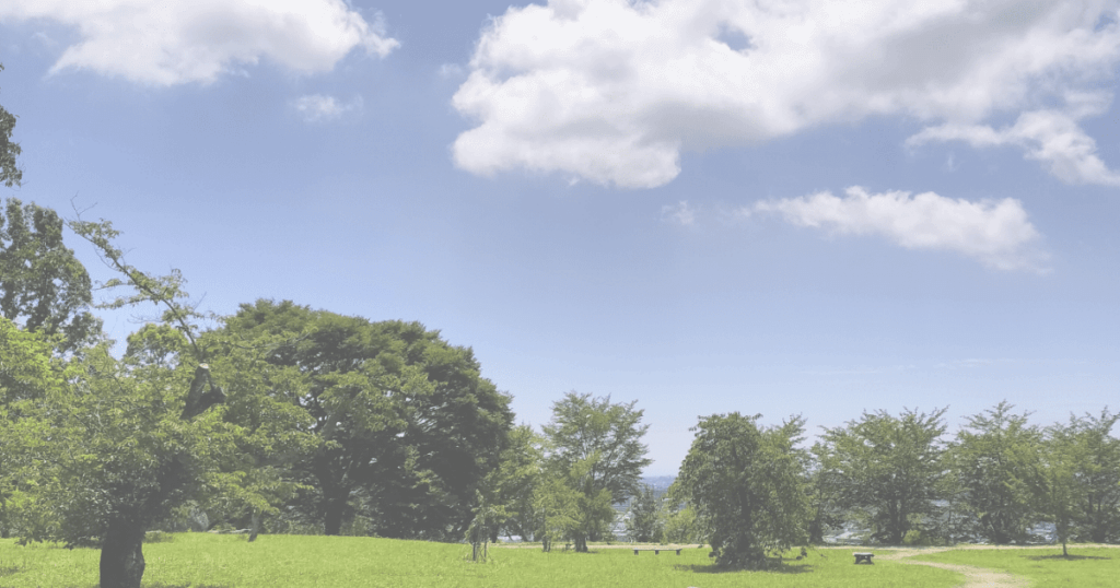 今の体の状態に向き合いながら、これからの生活を無理なく整えていく養生のイメージ